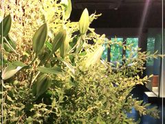 -穹六人间 people 6(岳阳路店)