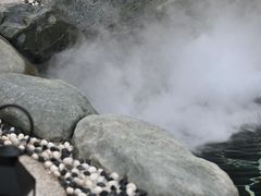 -美的鹭湖森林度假区