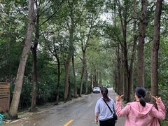 -白鹭湾湿地公园