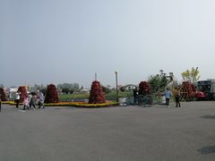 -荷兰花海