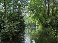 -上海滨江森林公园