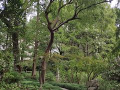 -申粤轩酒楼·三十年粤菜经典(丁香花园店)