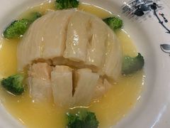 素鱼翅-丁老爷子苏香圆