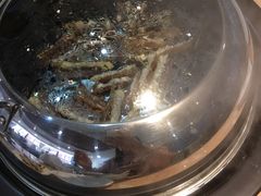 -海大大蒸汽海鲜餐厅·粤菜·特色小炒(欢乐颂店)