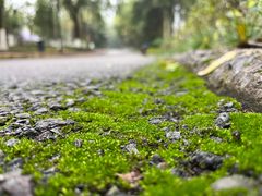 -重庆彩云湖湿地公园