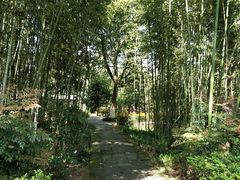 -邓小平故里