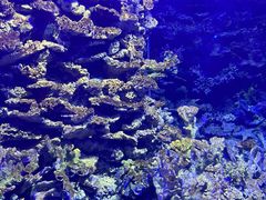 -江和美海洋公园