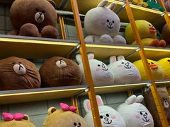 -line friends(明洞旗舰店)