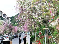 -小南山公园