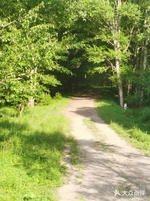 五台山风景名胜区图片