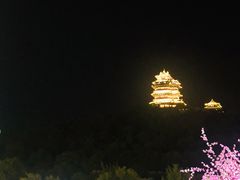-七欣天香辣蟹火锅(南京建宁路大观天地店)