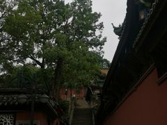 -丰都鬼城名山景区