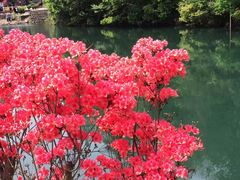 -祁门牯牛降观音堂风景区