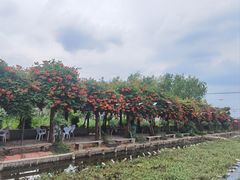 -同銮特种养殖场·龙虾垂钓