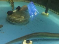 -洛阳龙门海洋馆