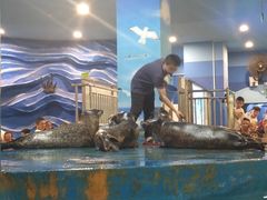 -锦艺城海洋馆