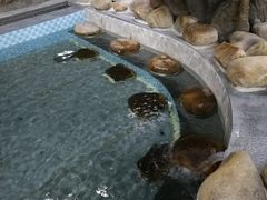-御池园(顾村公园店)