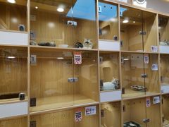 -屋虎猫馆(宝安大仟里店)
