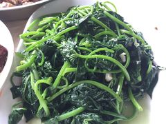 -鲤鱼塘农家山庄