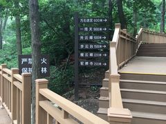 -鲁山国家森林公园