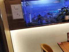 -老板恋上鱼(印象城店)