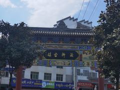 -后柳水乡