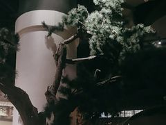 -桂满陇-十里风荷(合生汇店)
