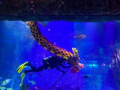 -沈阳海洋探索中心