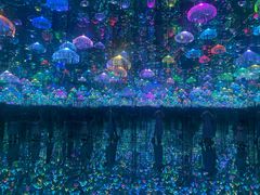 -上海梵高星空艺术馆(南京路旗舰店)