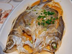 -东夷海鲜巨无霸(东夷小镇店)