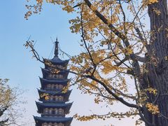 -上海方塔园