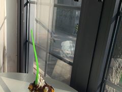 -Salud撒露欧洲冻酸奶(798艺术区店)