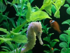 -成都浩海立方海洋公园