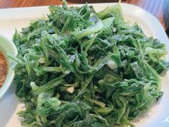 -阳光家常菜(泉城路店)
