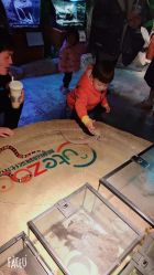 -酷嗒动物文化乐园(cutezoo西溪乐天城店)