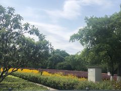 -九里河湿地公园