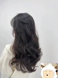 -YESIDO椰岛造型