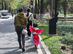 -海珠湖公园