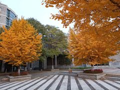 -辽宁大学(崇山校区)
