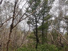 -白草畔自然风景区