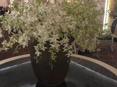 -玉满堂·湖北融合菜