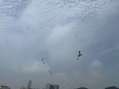 -黑石礁公园