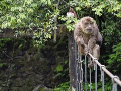 -西岭雪山大飞水景区