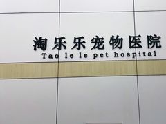 -凯瑞希宠物医院·狂犬免疫·微创·皮肤科