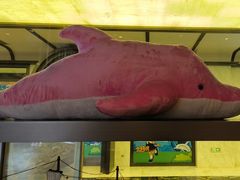 -童趣廊·儿童波波池·海洋球(长隆横琴湾酒店)