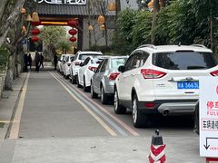 -满天星花园