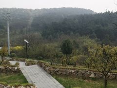 -南京市无想山景区