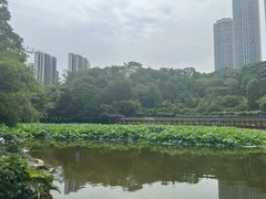 -龙头寺公园