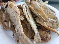 -庆岭迎宾园正宗活鱼馆