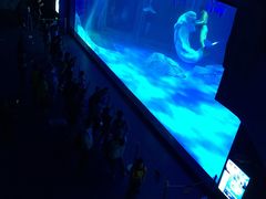 -上海海昌海洋公园-冰山北极馆